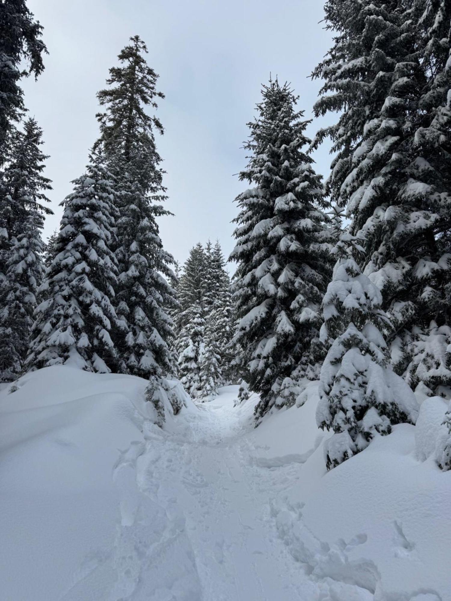 Allgaeu Bergluft Weitnau Exterior photo